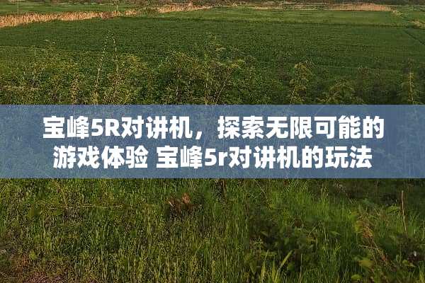 宝峰5R对讲机,探索无限可能的游戏体验 宝峰5r对讲机的玩法 宝峰5R对讲机,探索无限可能的游戏体验 宝峰5r对讲机的玩法