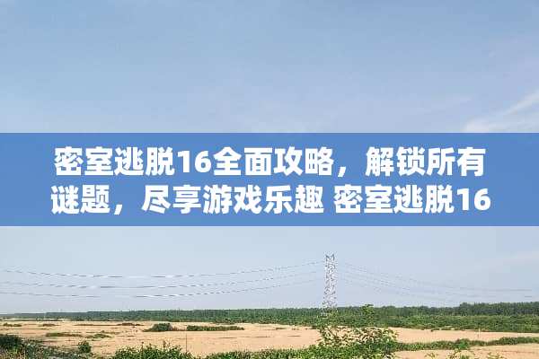 密室逃脱16全面攻略，解锁所有谜题，尽享游戏乐趣 密室逃脱16攻略大全