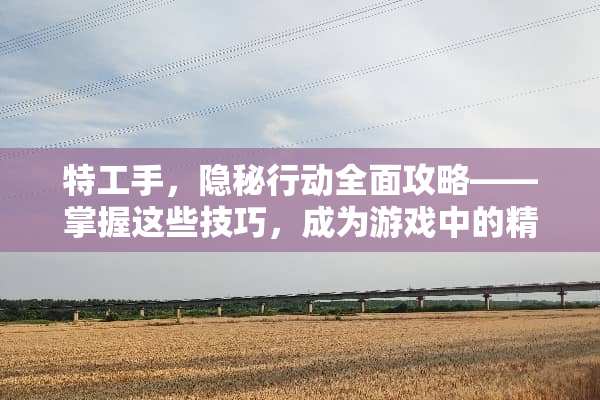 特工手，隐秘行动全面攻略——掌握这些技巧，成为游戏中的精英特工 特工手游戏攻略