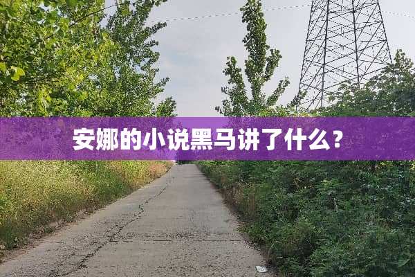 安娜的小说黑马讲了什么？