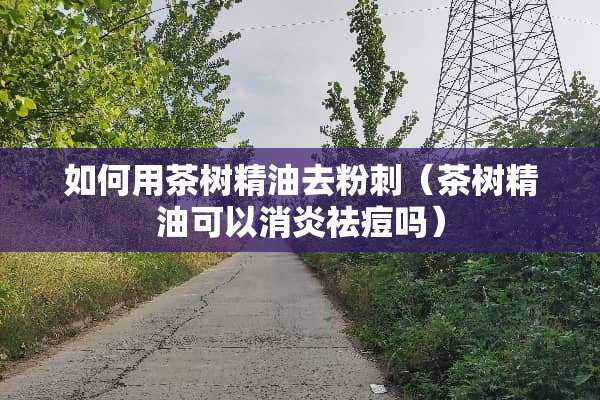 如何用茶树精油去粉刺（茶树精油可以消炎祛痘吗）