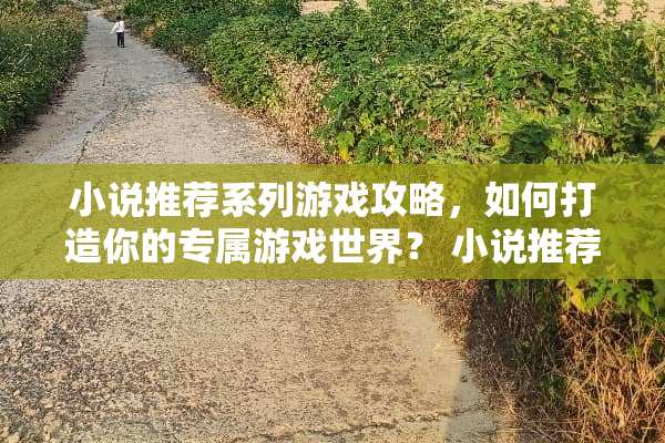 小说推荐系列游戏攻略，如何打造你的专属游戏世界？ 小说推荐系列游戏攻略