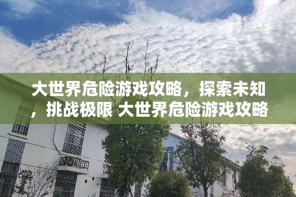 大世界危险游戏攻略，探索未知，挑战极限 大世界危险游戏攻略