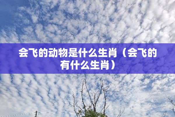 会飞的动物是什么生肖（会飞的有什么生肖）