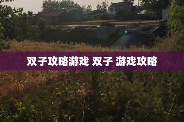 双子攻略游戏 双子 游戏攻略