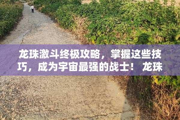 龙珠激斗终极攻略，掌握这些技巧，成为宇宙最强的战士！ 龙珠激斗攻略