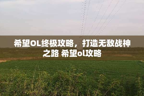 希望OL终极攻略，打造无敌战神之路 希望ol攻略