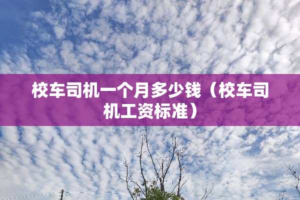 校车司机一个月多少钱（校车司机工资标准）