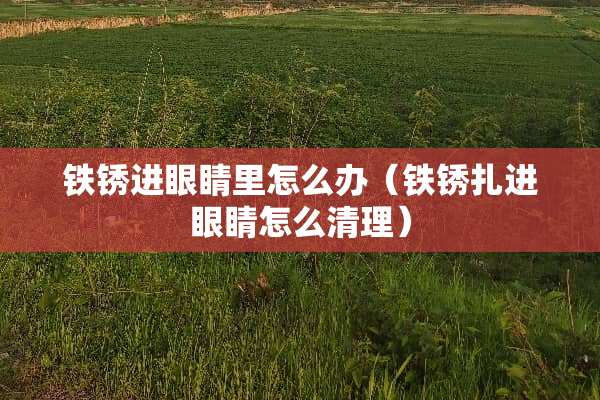 铁锈进眼睛里怎么办（铁锈扎进眼睛怎么清理）