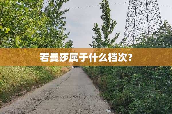 若曼莎属于什么档次？