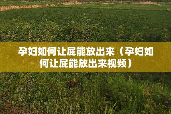 孕妇如何让屁能放出来（孕妇如何让屁能放出来视频）