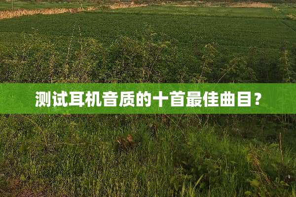测试耳机音质的十首最佳曲目？