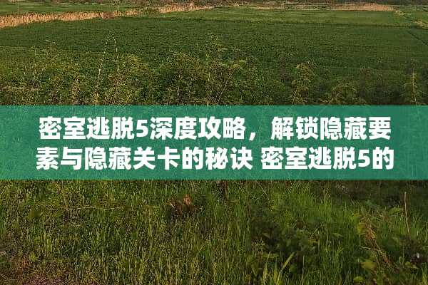 密室逃脱5深度攻略，解锁隐藏要素与隐藏关卡的秘诀 密室逃脱5的游戏攻略