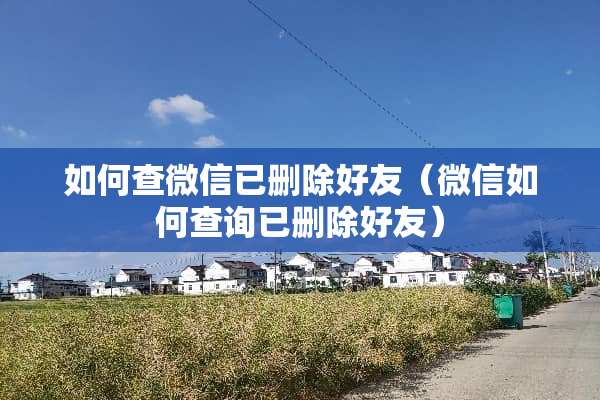 如何查微信已删除好友（微信如何查询已删除好友）