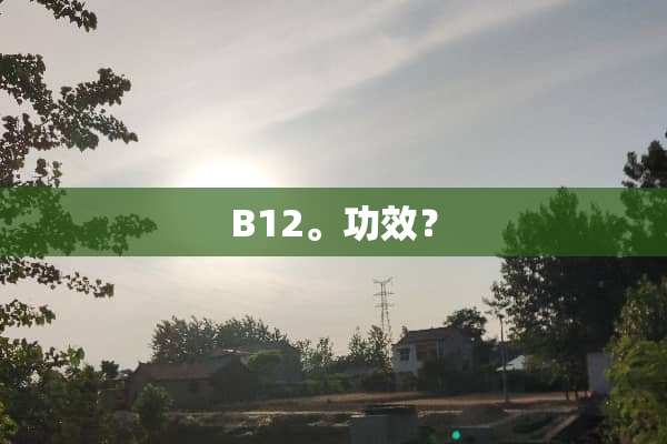 B12。功效？