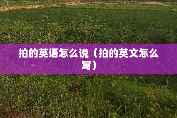 拍的英语怎么说（拍的英文怎么写）