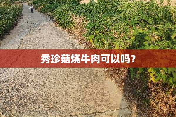 秀珍菇烧牛肉可以吗？