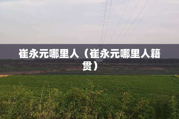 崔永元哪里人（崔永元哪里人籍贯）