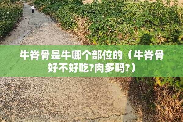 牛脊骨是牛哪个部位的（牛脊骨好不好吃?肉多吗?）