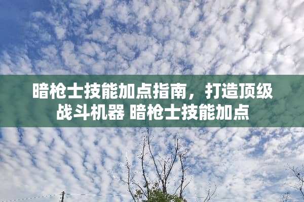 暗枪士技能加点指南，打造顶级战斗机器 暗枪士技能加点