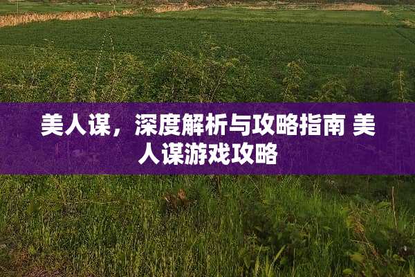美人谋，深度解析与攻略指南 美人谋游戏攻略