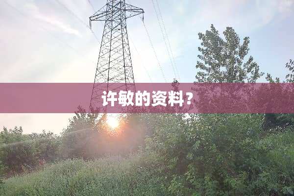 许敏的资料？