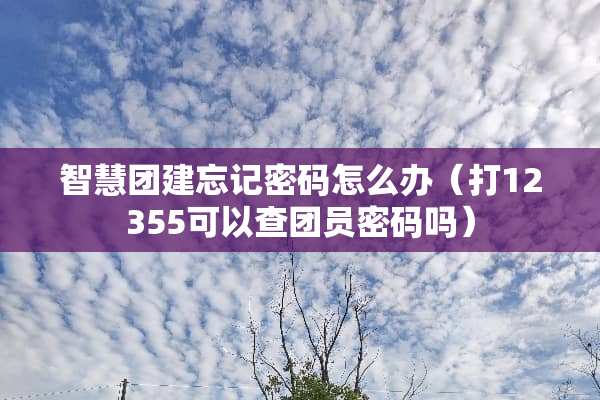智慧团建忘记密码怎么办（打12355可以查团员密码吗）