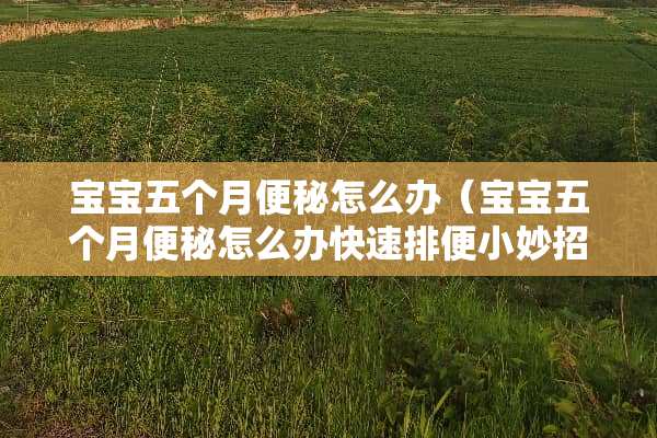 宝宝五个月便秘怎么办（宝宝五个月便秘怎么办快速排便小妙招）