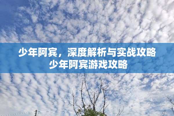 少年**，深度解析与实战攻略 少年**游戏攻略