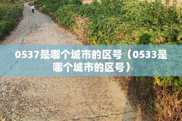 0537是哪个城市的区号（0533是哪个城市的区号）