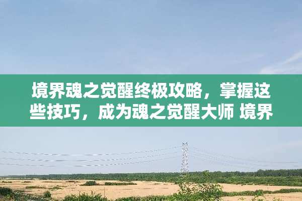 境界魂之觉醒终极攻略，掌握这些技巧，成为魂之觉醒大师 境界魂之觉醒攻略