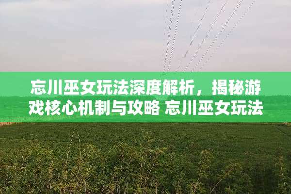 忘川巫女玩法深度解析，揭秘游戏核心机制与攻略 忘川巫女玩法