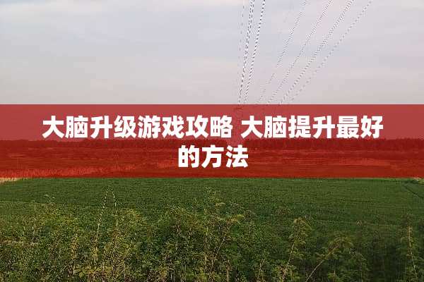 大脑升级游戏攻略 大脑提升最好的方法
