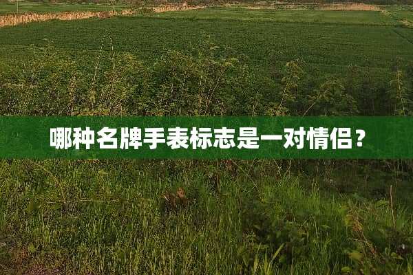 哪种名牌手表标志是一对情侣？