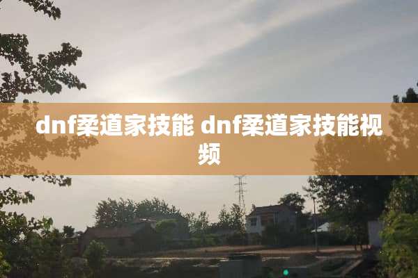 dnf柔道家技能 dnf柔道家技能视频
