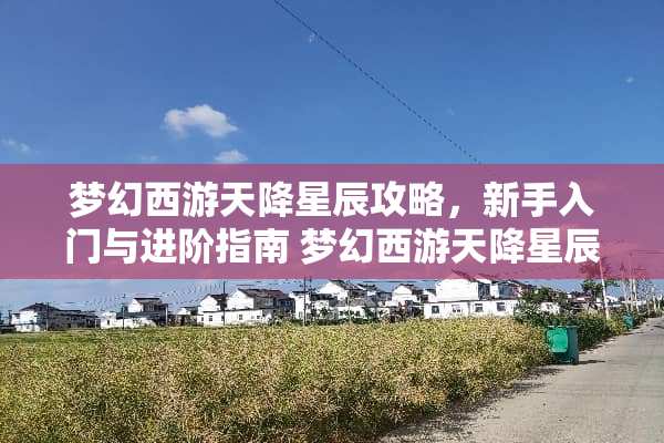 梦幻西游天降星辰攻略，新手入门与进阶指南 梦幻西游天降星辰攻略
