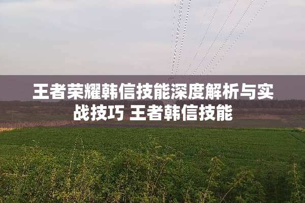 王者荣耀韩信技能深度解析与实战技巧 王者韩信技能