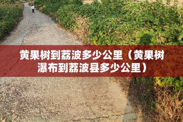 黄果树到荔波多少公里（黄果树瀑布到荔波县多少公里）