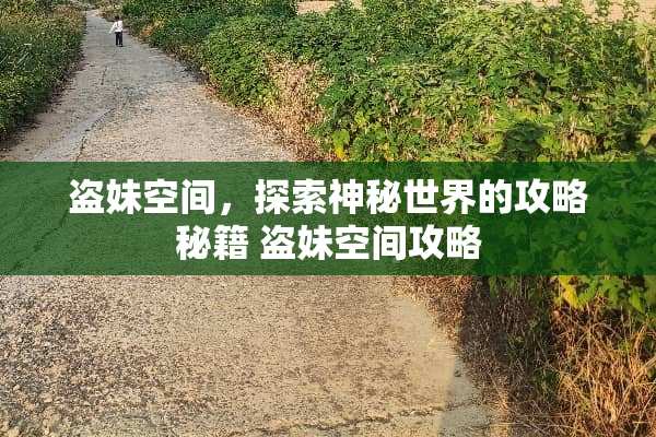 盗妹空间,探索神秘世界的攻略秘籍 盗妹空间攻略 盗妹空间,探索神秘世界的攻略秘籍 盗妹空间攻略