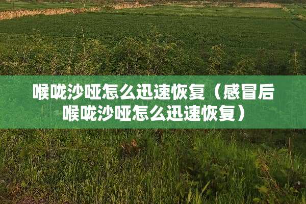 喉咙沙哑怎么迅速恢复（感冒后喉咙沙哑怎么迅速恢复）