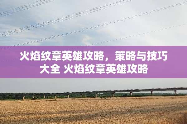 火焰纹章英雄攻略，策略与技巧大全 火焰纹章英雄攻略