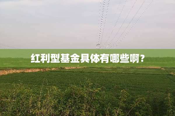 红利型基金具体有哪些啊？