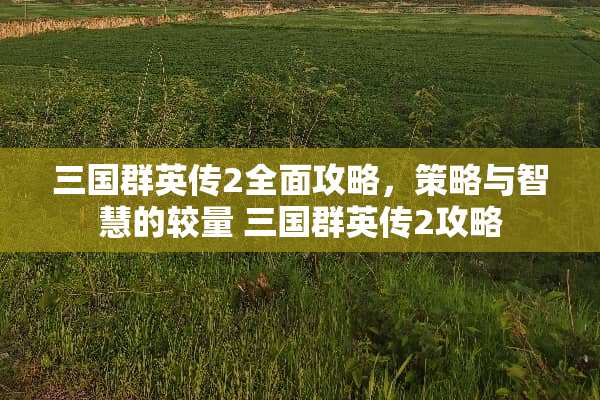 三国群英传2全面攻略，策略与智慧的较量 三国群英传2攻略