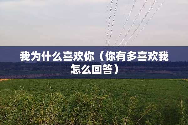 我为什么喜欢你（你有多喜欢我怎么回答）