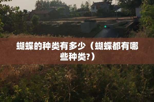 蝴蝶的种类有多少（蝴蝶都有哪些种类?）