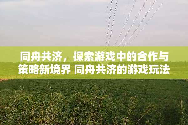 同舟共济，探索游戏中的合作与策略新境界 同舟共济的游戏玩法