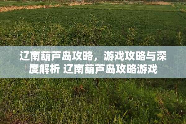 辽南葫芦岛攻略，游戏攻略与深度解析 辽南葫芦岛攻略游戏