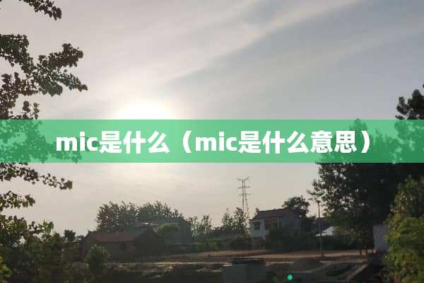 mic是什么（mic是什么意思）