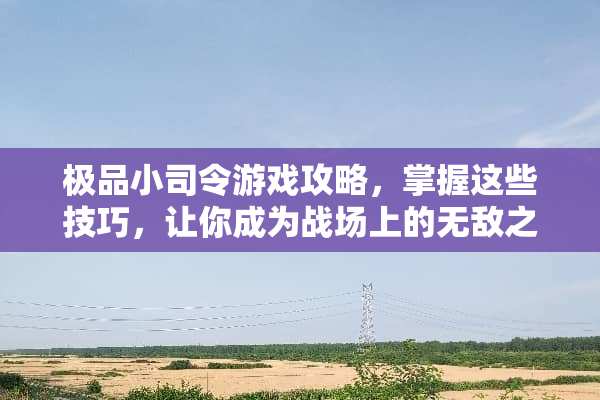 极品小司令游戏攻略，掌握这些技巧，让你成为战场上的无敌之王！ 极品小司令游戏攻略