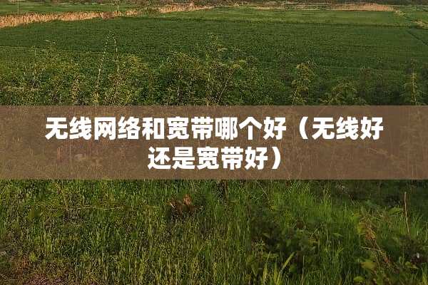 无线网络和宽带哪个好（无线好还是宽带好）